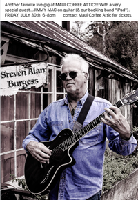 Steven Burgess concert