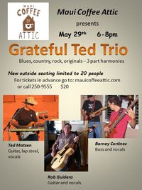 The Grateful Ted Band