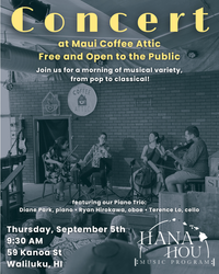 Hana Hou Music Trio