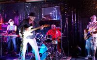 VonLinne Express