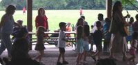 Novi Sizzlin Summer Family Concerts