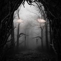 Dead Eyes by Pat Reilly