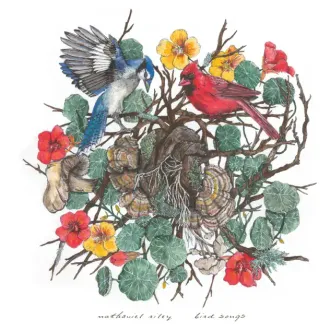 Nathaniel Riley - Bird Songs - Produced by Darren Garvey