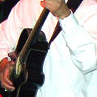 Acoustic Guinea Pig by Wilton Said.../Solo
