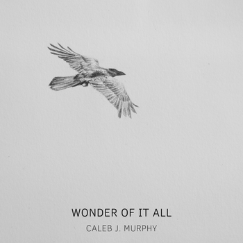 Wonder Of It All
