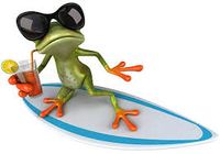 Flip the Frog