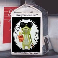 Flip the Frog
