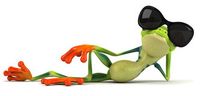 Flip the Frog