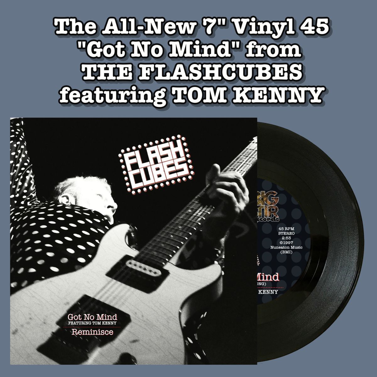 Got No Mind - The Flashcubes - Got No Mind Vinyl 7" 45