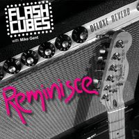 Reminisce by The Flashcubes