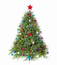 Christmas Gig - Allington Church