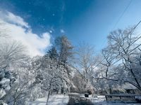 Center for Conscious Living NJ Welcomes Sharon Bousquet