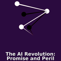 Episode Five: With IBM Large Language Model researcher Davis Wertheimer. How they work.
