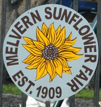 Savanna Chestnut & The Field Hands at Melvern Sunflower Days