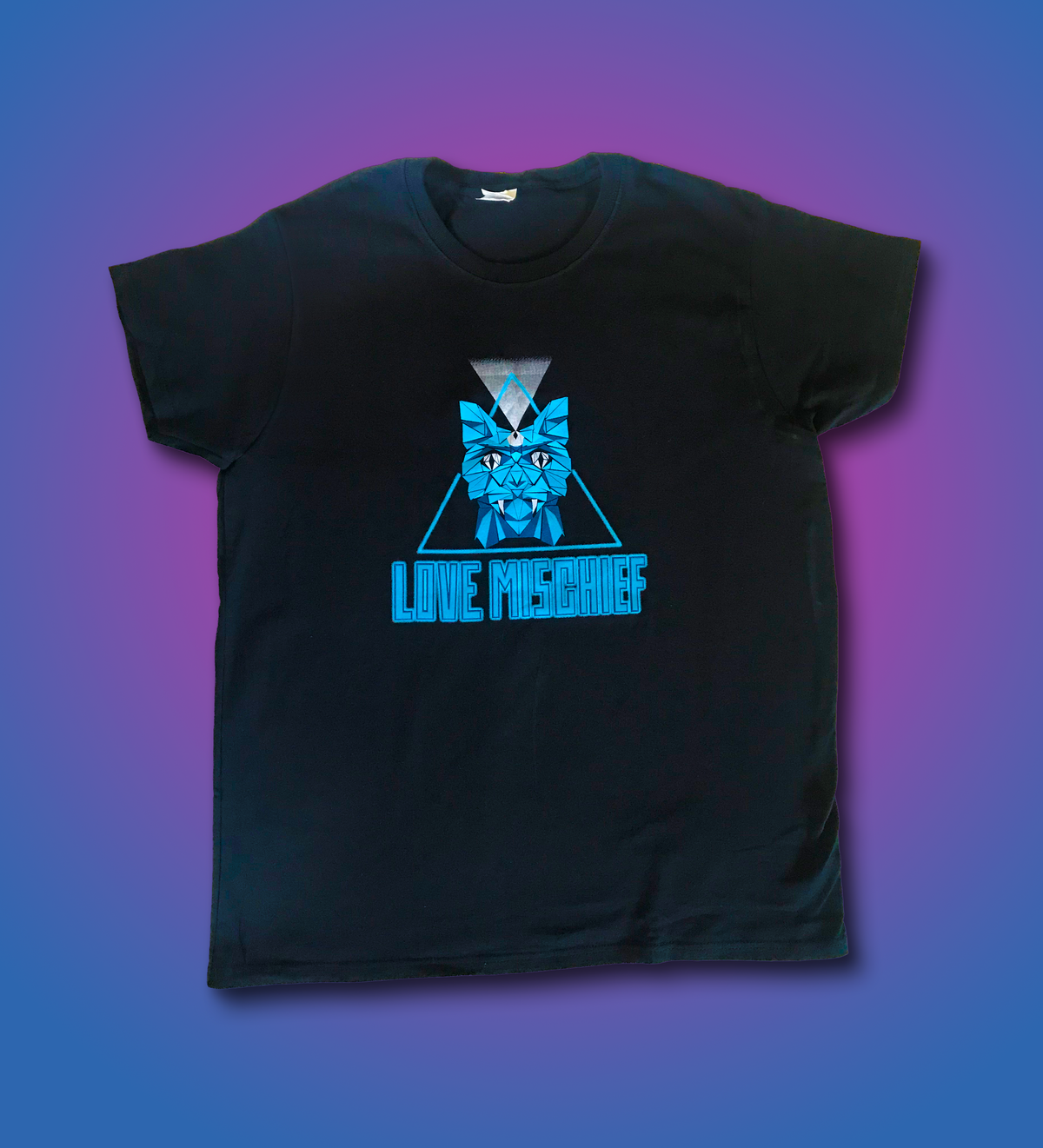 Women's Curious Cat T-Shirt 