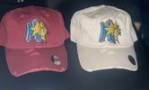 MSTARS Dad Hat
