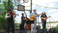 Music in the Woods @ Imago Nature Center