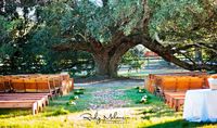 James / Campbell Wedding Event