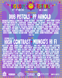 Big Love Festival