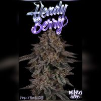Mendo Dope Poster Collection - Autographed