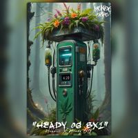 Heady OG BX1 - 10 Collectibles 
