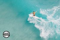 In search of the bull on a wave in Mexico -  Private show