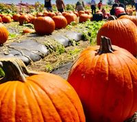 Barn Dance @ Mortimer Farms! All Ages Welcome!