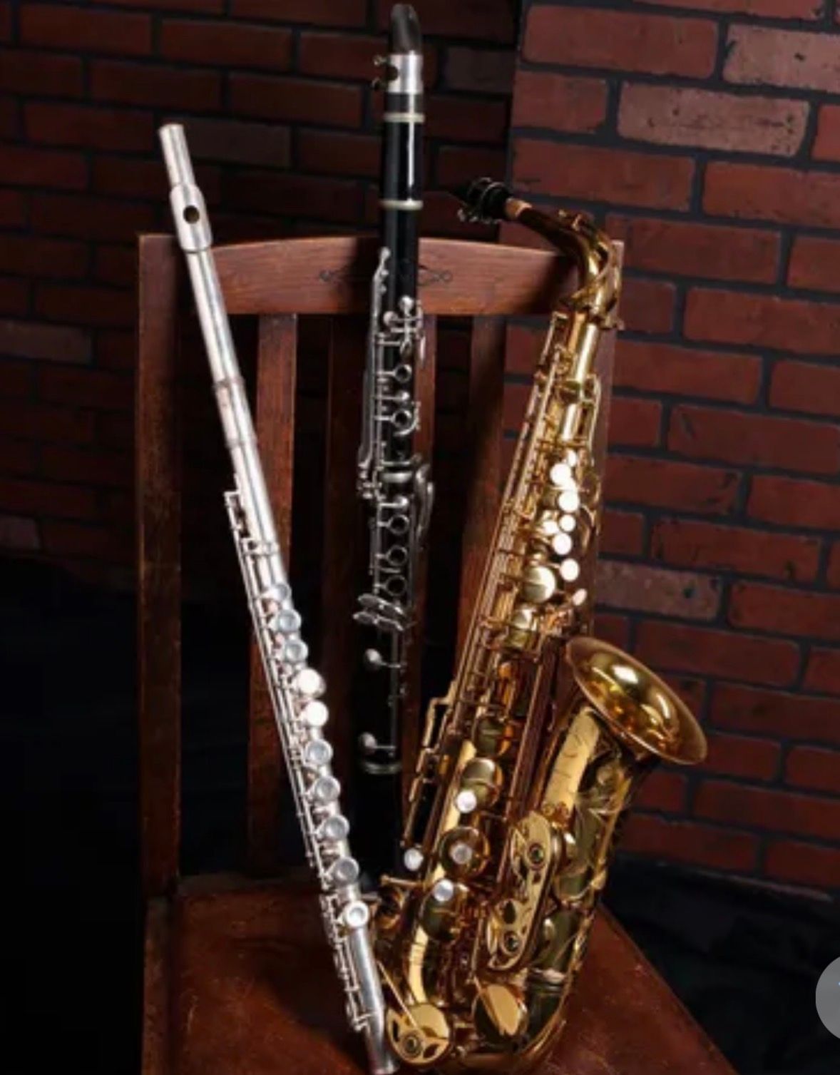 Music Lesson for Woodwind player (beginner/intermediate level)