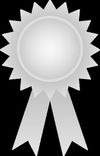 SILVER SPONSOR DONATION
