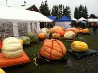 Giant Pumpkin Weigh Off & Harvest Festival