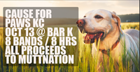 Lily B & Friends Present Cause For Paws benefit concert!