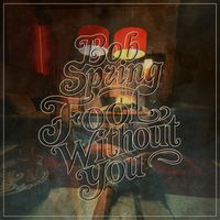 Fool Without You by Bob Spring