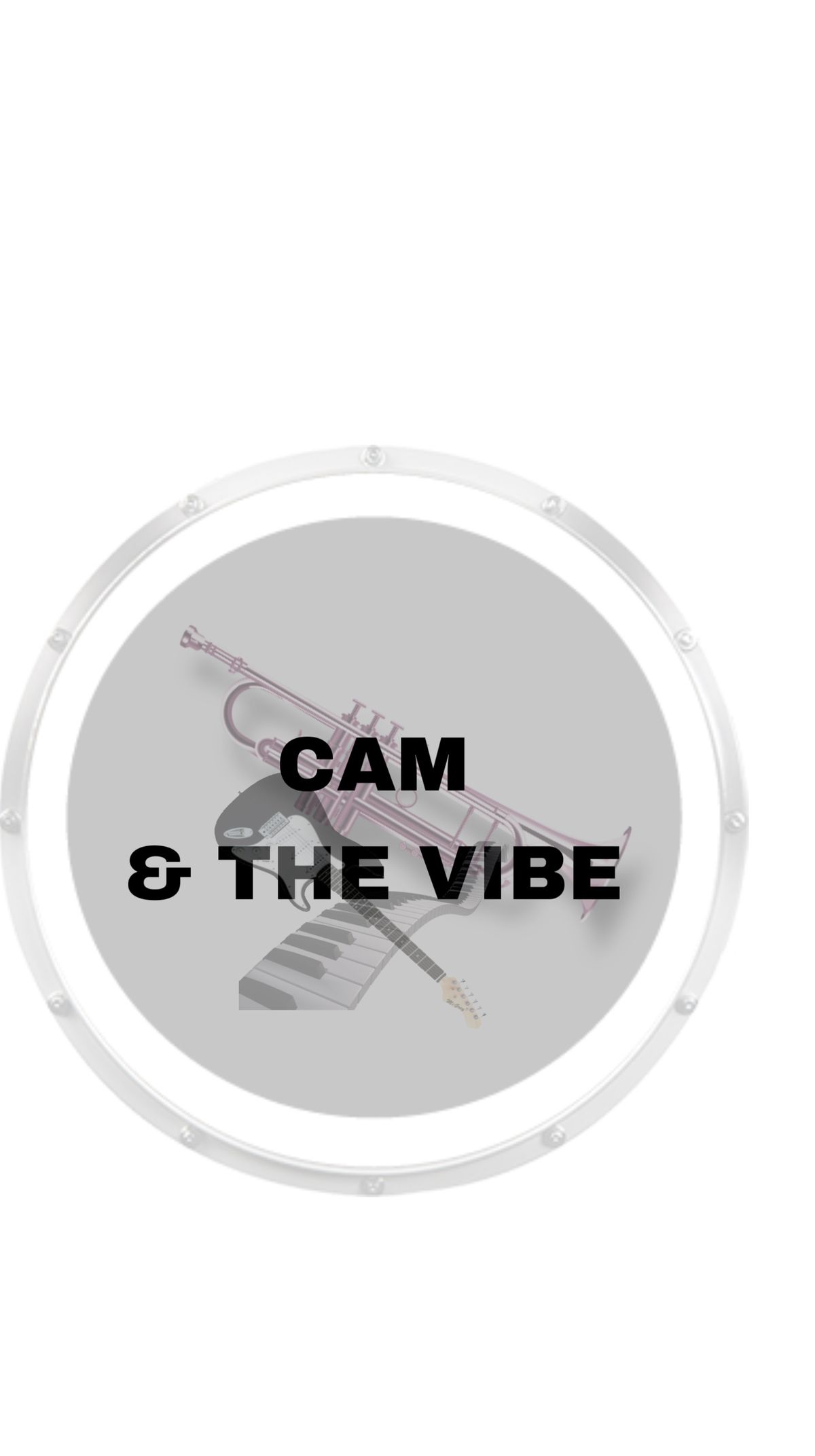 Cam & the Vibe trio (3 piece jazz combo) 