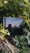 The Great Slowdown - CD