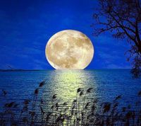 Over the Moon