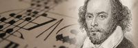 Much Ado About Shakespeare