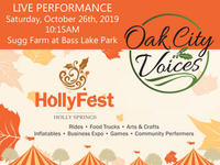 Live Performance at HollyFest
