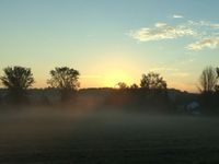 Hope for a New Day