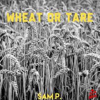 Wheat or Tare by Sam Purpose