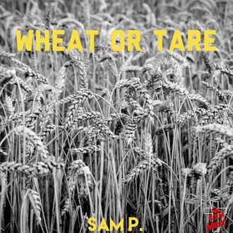 Sam Purpose Wheat or Tare 