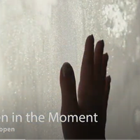 Frozen in the Moment