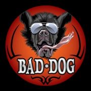 Bad Dog Live at a private event