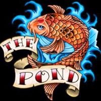 Bad Dog Returns to the Pond