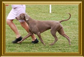 Strutting my stuff!
