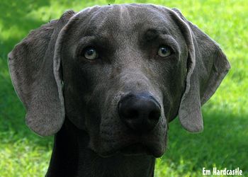 Head shot at 12 months
