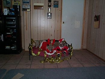 Santa bring us lots of presents
