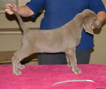 I'm a boy - get me off this pink mat!
