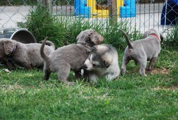 Play time
