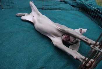 Just stretching out
