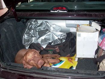 packing the car? don't forget me
